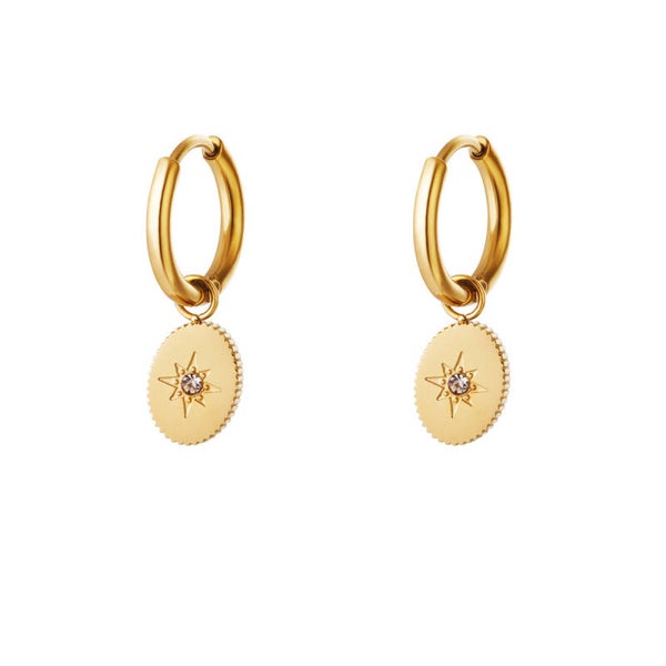 Stainless steel oorbellen Cantal Gold