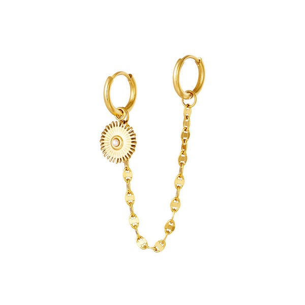 Stainless steel oorbellen Bragga Gold