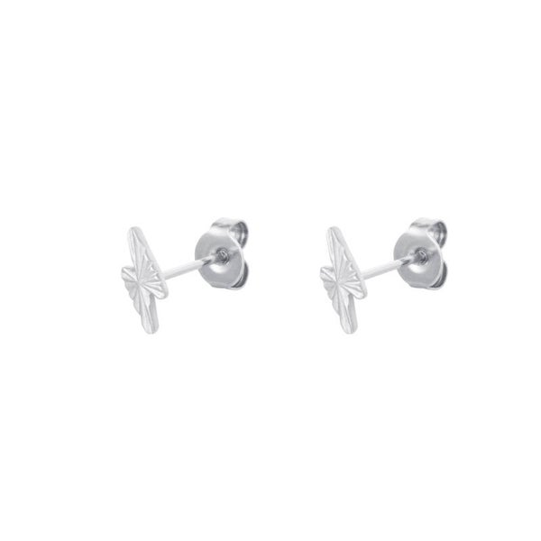 Stainless steel oorbellen Tinto Silver