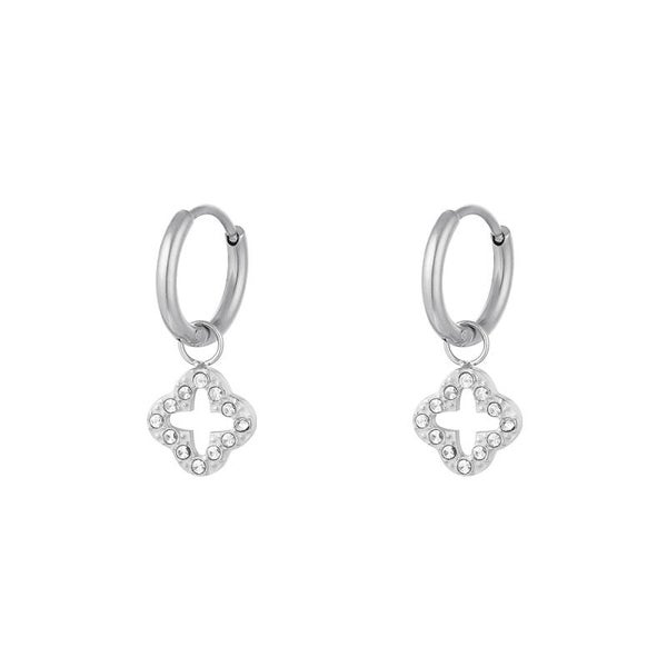 Stainless steel oorbellen Combra Silver