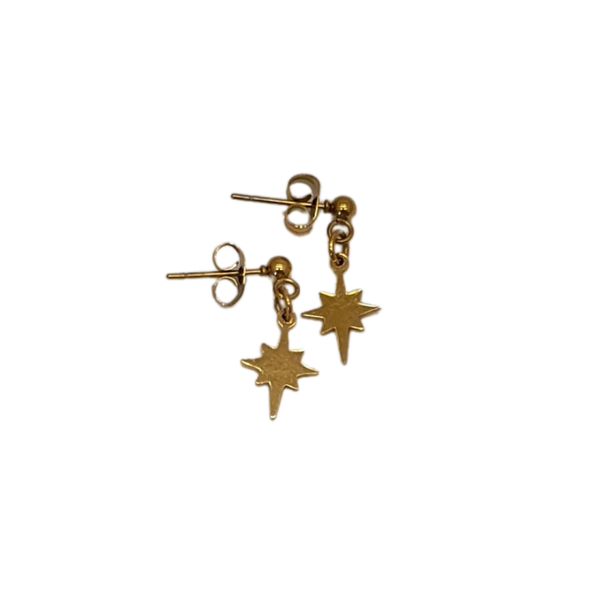 Stainless steel oorbellen Flora