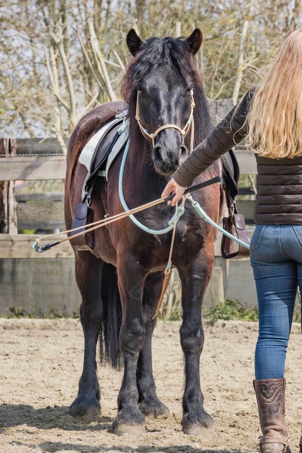 Stick et/ou cordelette