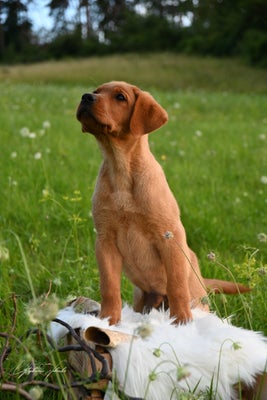 dsc_4060-standard-jl37h8.jpg