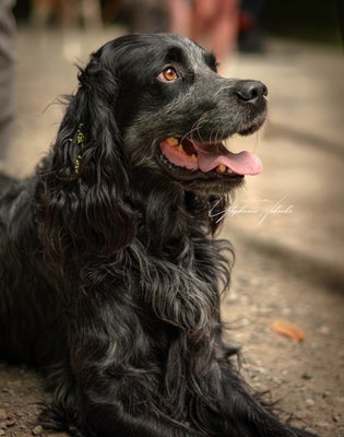 dsc_4393-standard.jpg