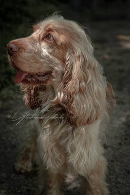 dsc_4630-standard.jpg