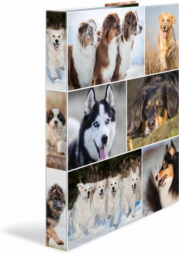 Ringband A4 karton - 4D ringmechaniek - Honden