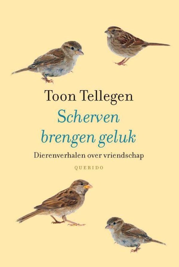 Scherven brengen geluk - Toon Tellegen
