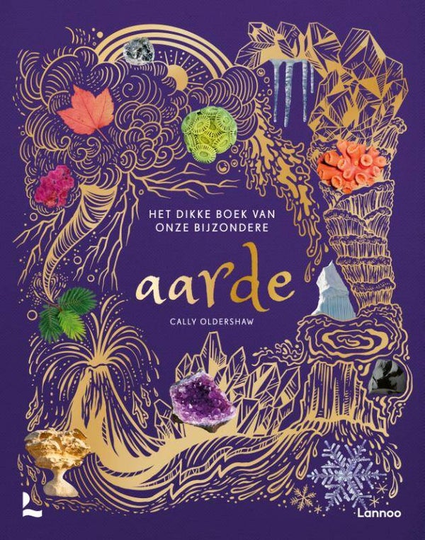 Het dikke boek van onze bijzondere aarde - Cally Oldershaw