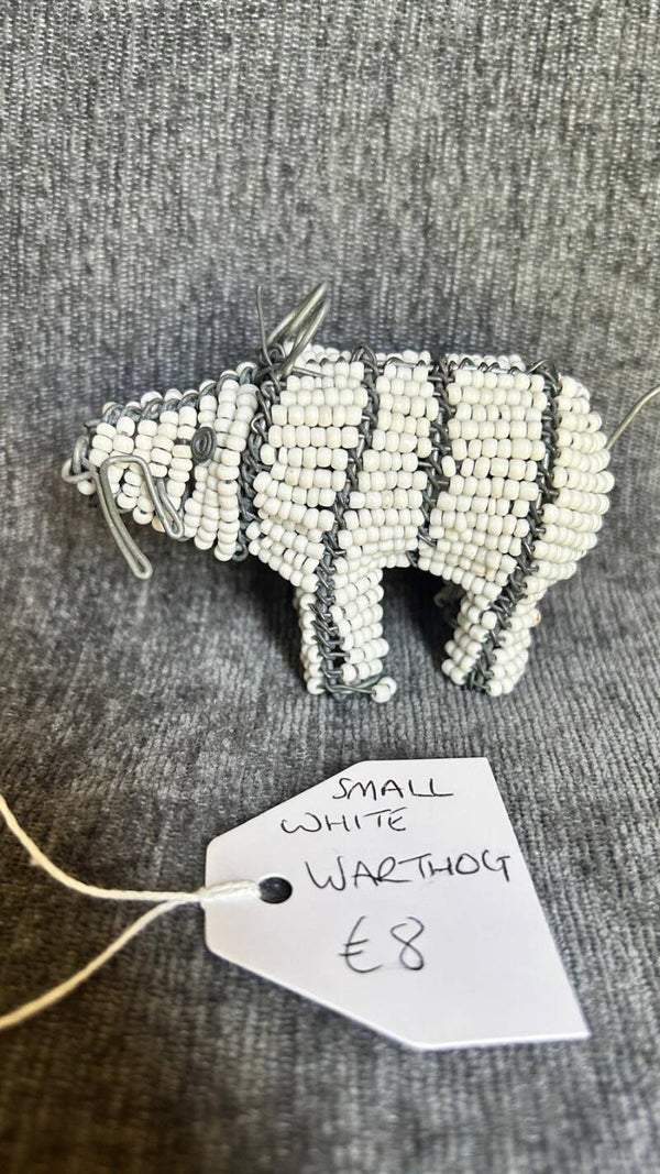 small white warthog