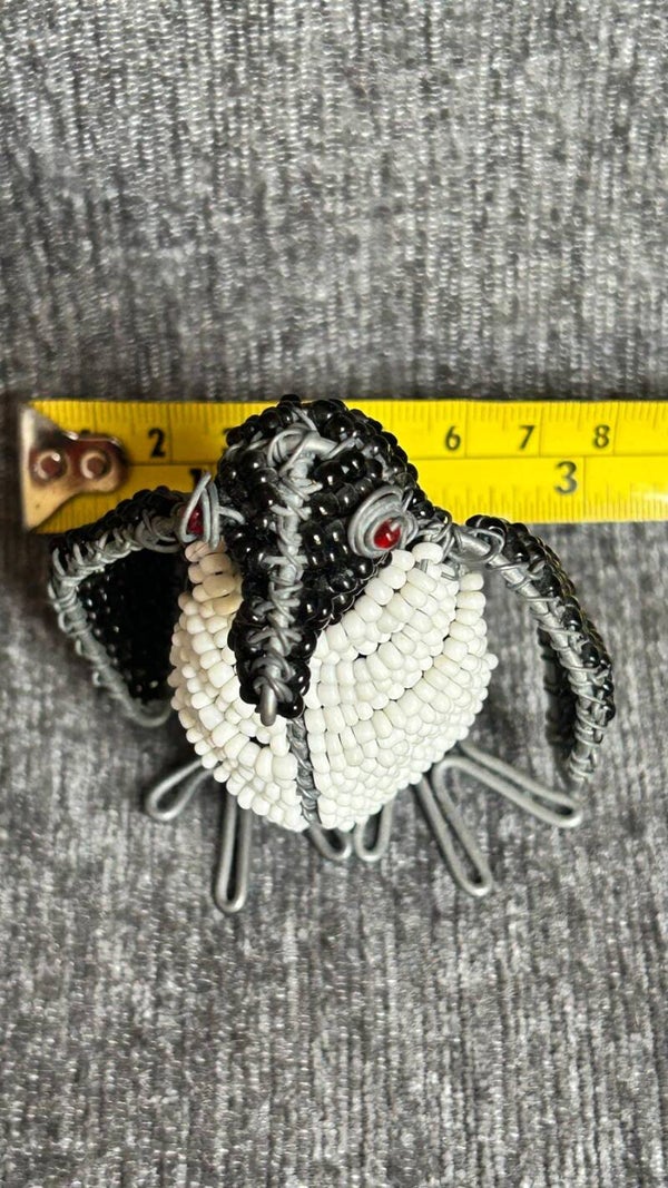 Sweet little Penguin