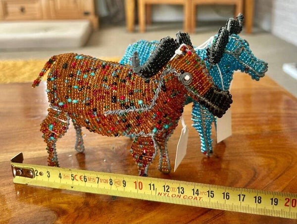 Cape Buffalo - nyati wa cape