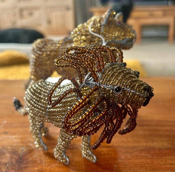 Lions