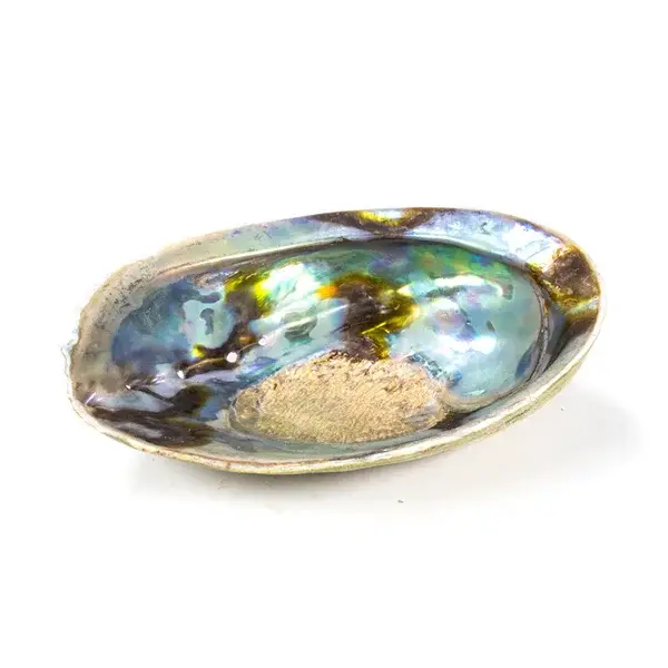 Abalone schelp