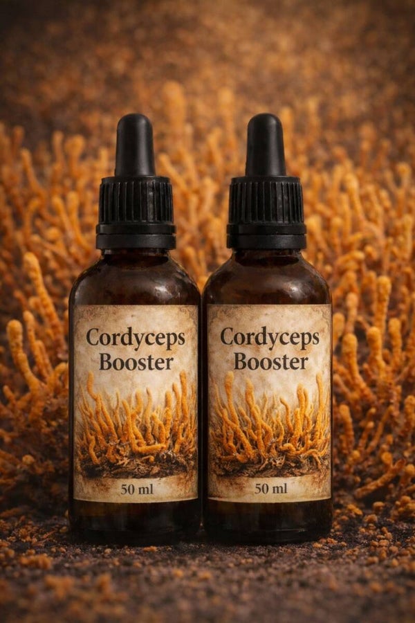 Cordyceps booster -podwójna ekstrakcja 50 ml