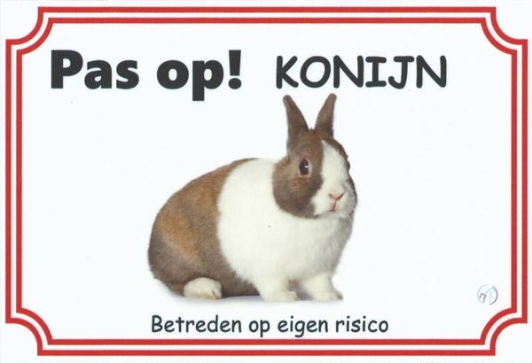 Konijn