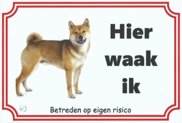 Shiba 2