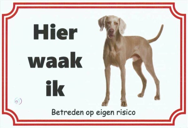 Weimarse Staande hond