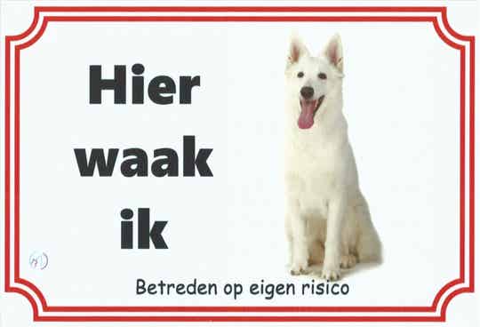 Zwitserse Witte Herder