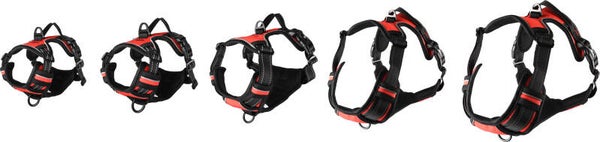 Harnas Balou XS rood