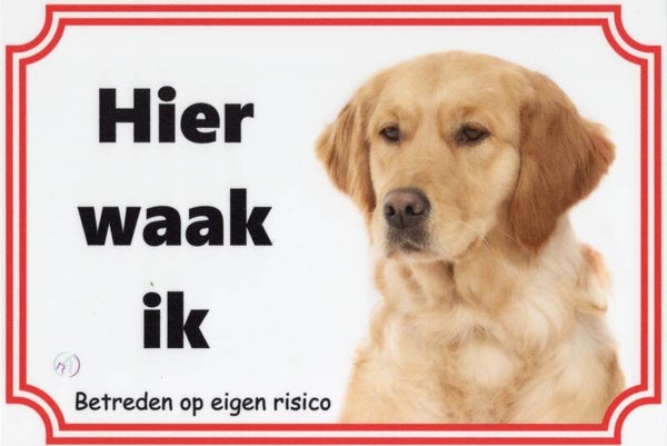 Golden Retriever donker