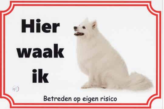 Japanse Spits