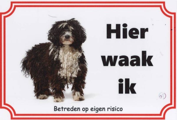 Spaanse Waterhond