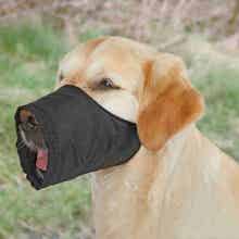 Mikki nylon muzzle Size 2 OP=OP