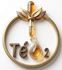 TéO2