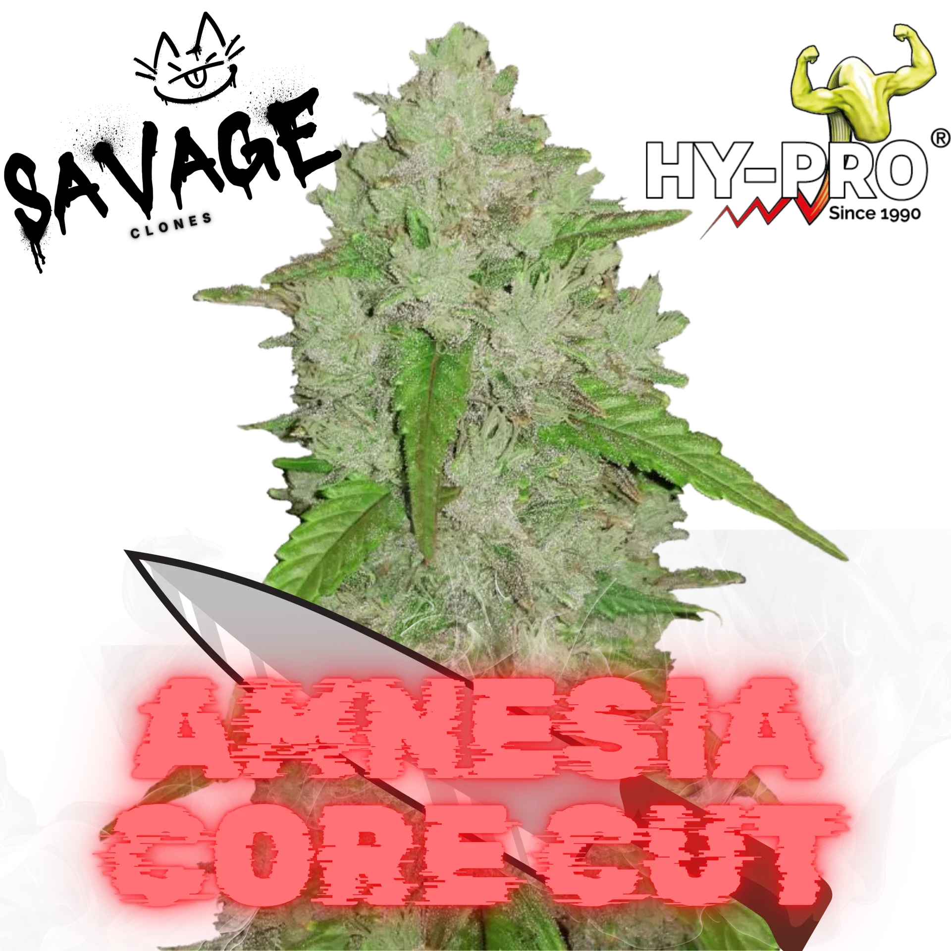 Amnesia Core Cut - HY PRO