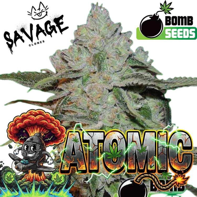 Atomic - Bomb Seeds