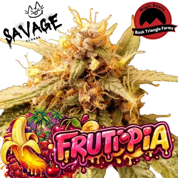 Frutopia - Bask Triangle Farms