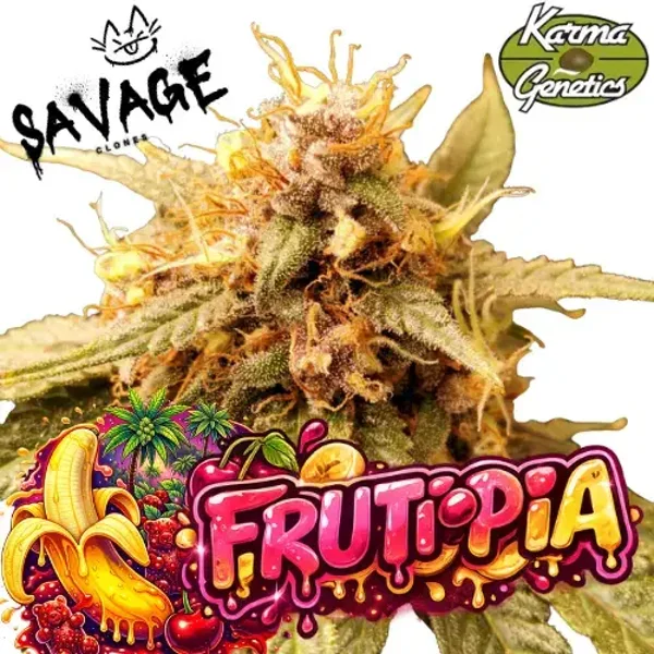 Frutopia - Karma Genetics