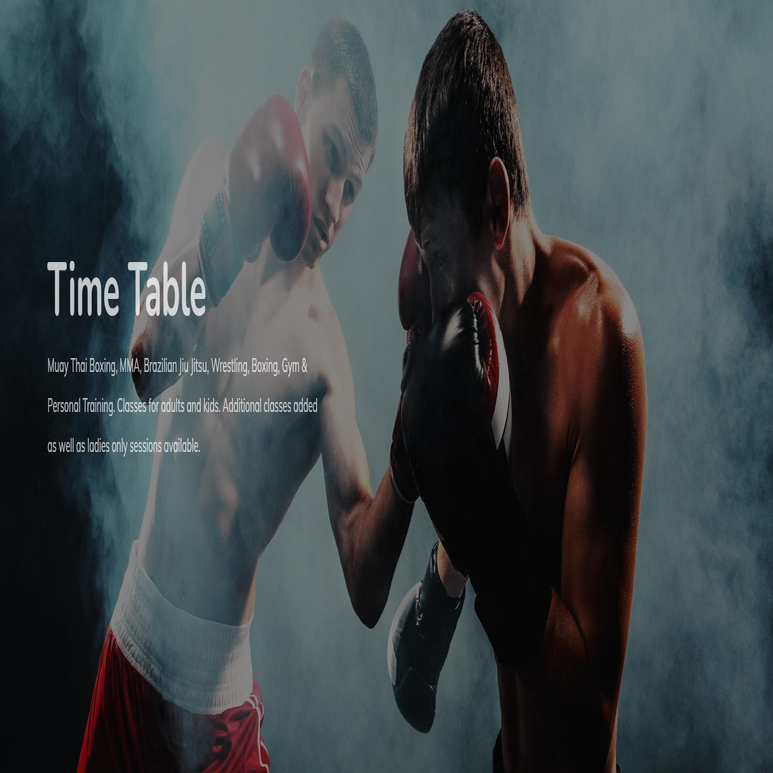 Guts Over Fear Mixed Martial Arts photo (Gym's own website)