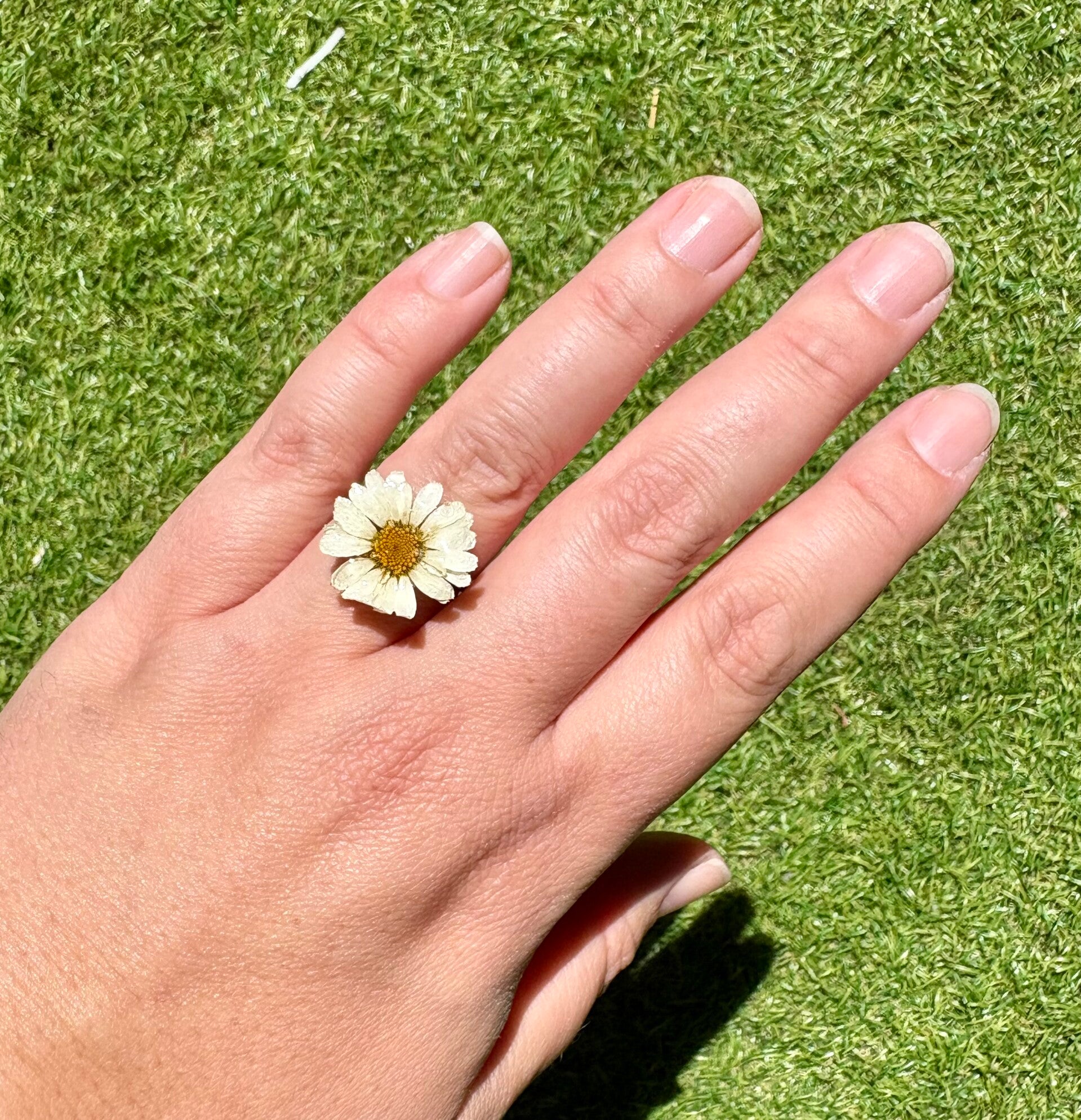 Anillo margarita
