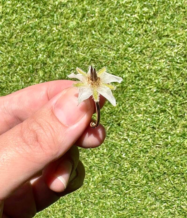 Anillo flor silvestre