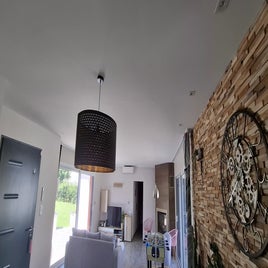 1000011245-standard.jpg