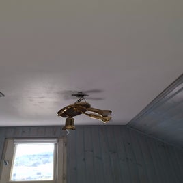 1000013228-standard.jpg
