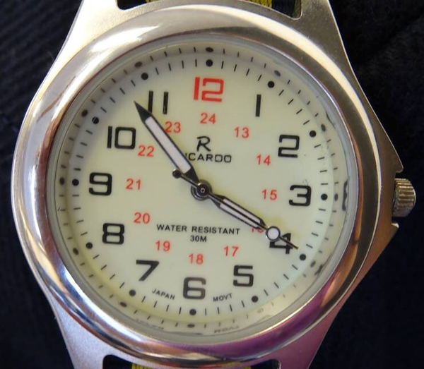 Ricardo Mens' Lumibright Watch