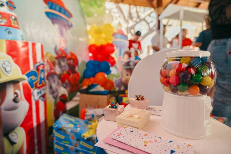 Paw Patrol cadeaus 2026 - de leukste ideeën voor kleine speurneuzen