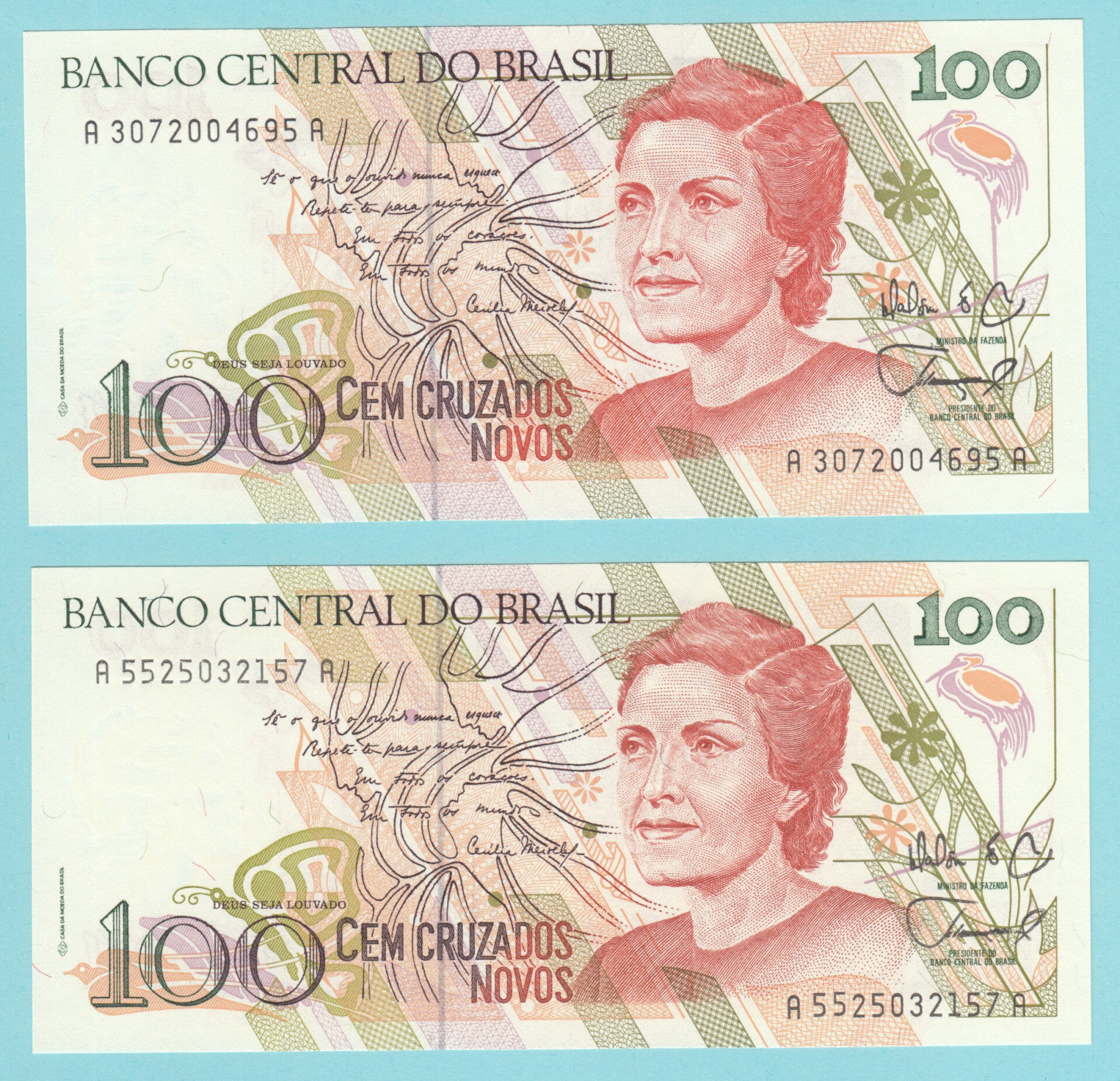 BRASIL - 1989 - C.206 - 100 CRUZADOS NOVOS