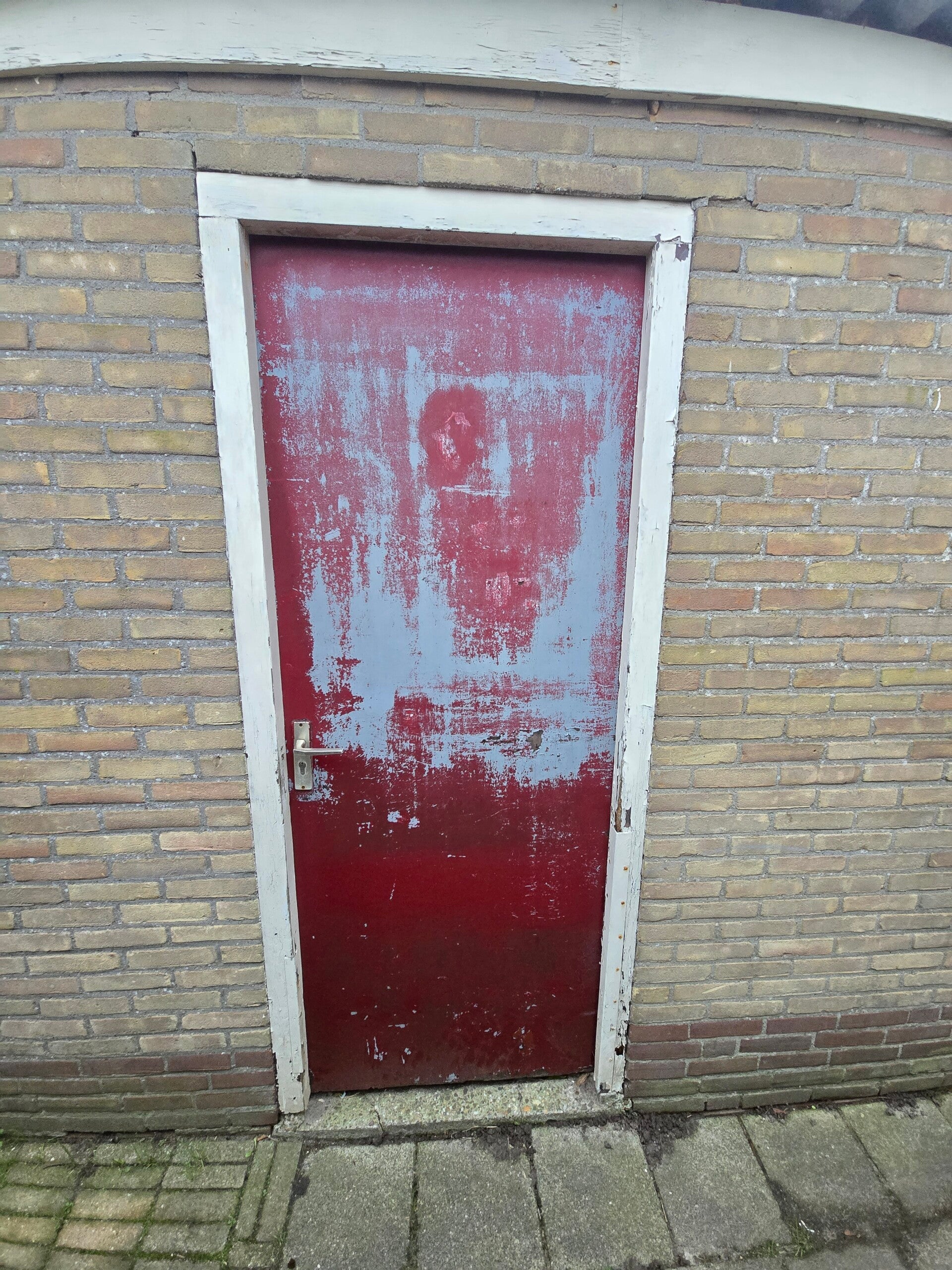 20251215_091220-standard.jpg