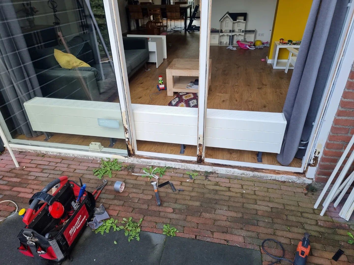 img_20230804_183720_445.jpg