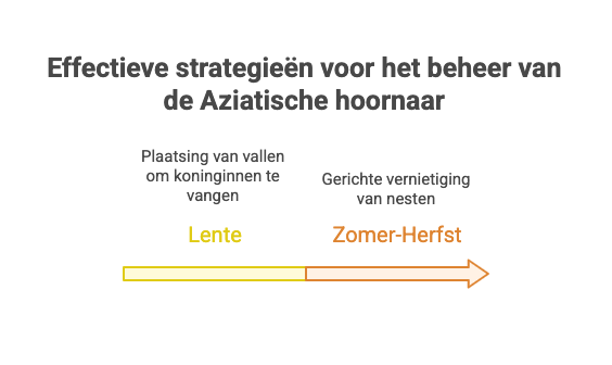 Effectieve strategieën voor het beheer van de Aziatische hoornaar