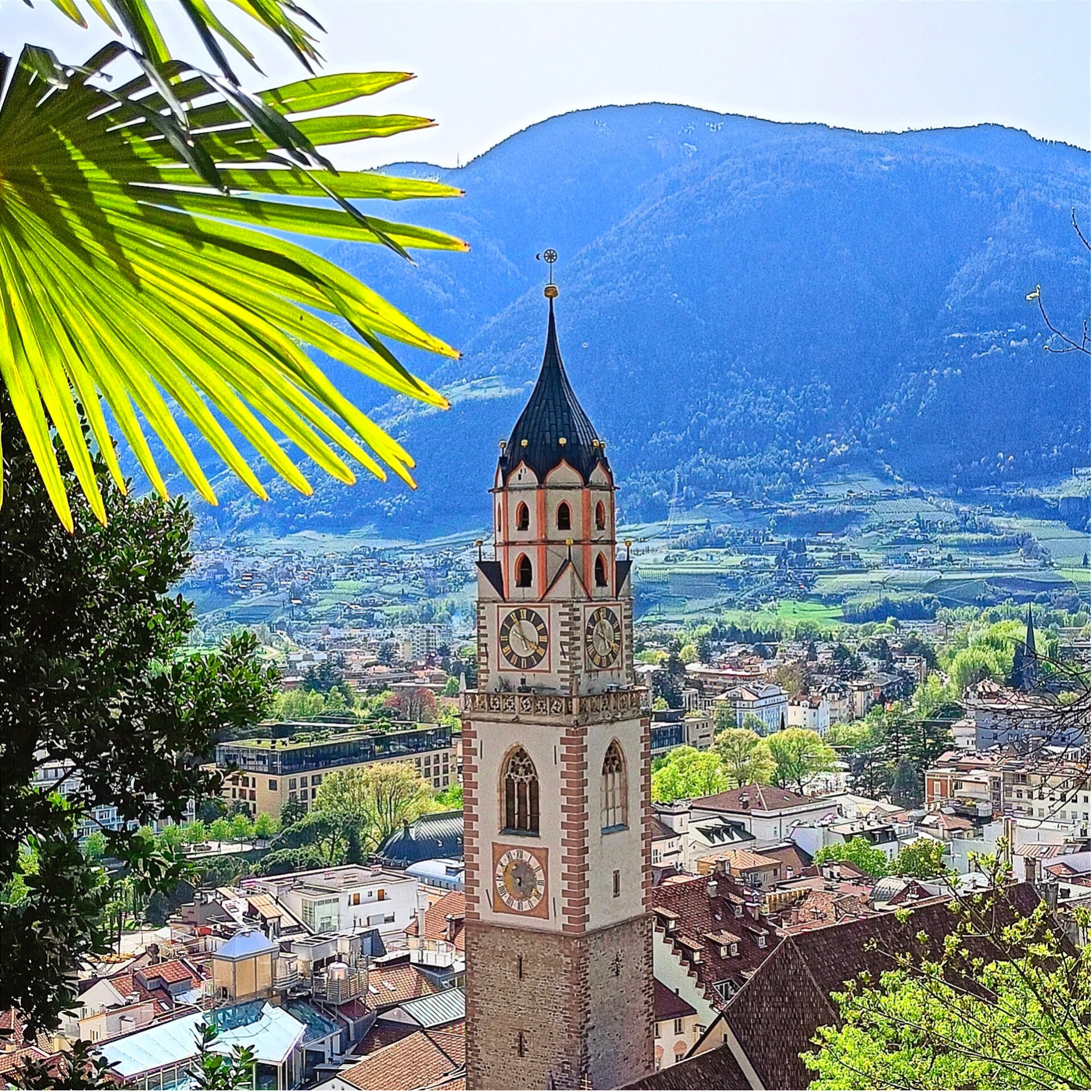 Stadtansicht Merano, dem Schauplatz aller Südtirolkrimis von Elisabeth Florin