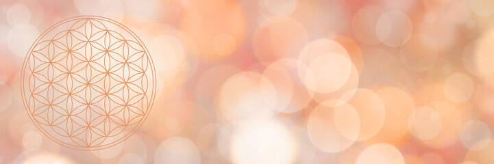 Tarot, Vidente, Tarotista, Videntes, Tarot si o no, Eclipse,oráculo, péndulo, cuarzo, cartas tarot, tarot málaga, videntes málaga, sanador, reiki, consultas tarot, tarot presencial, clarividencia, mágias, espiritual, mago, astrologo, energías