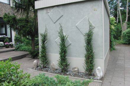 Juniperus communis – gewone jeneverbes