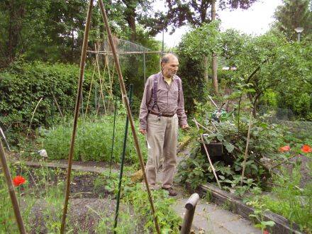 Philip Rodenburg - Pinetum - Quatrebras