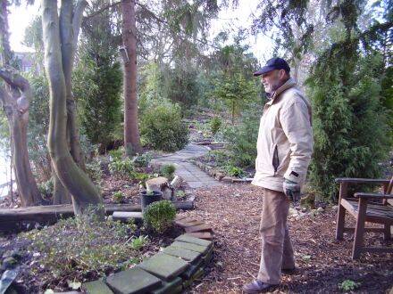 Philip Rodenburg - Pinetum - Quatrebras