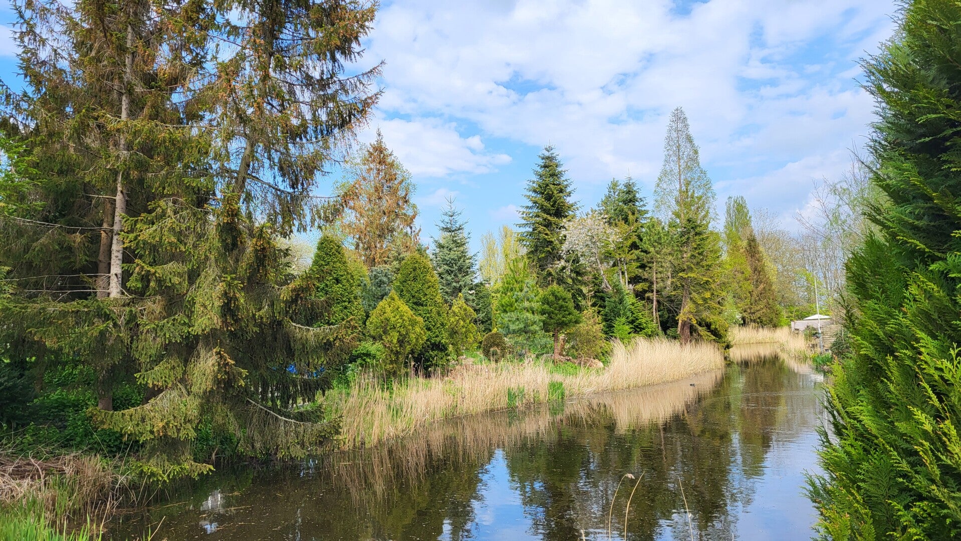 Pinetum Quatrebras