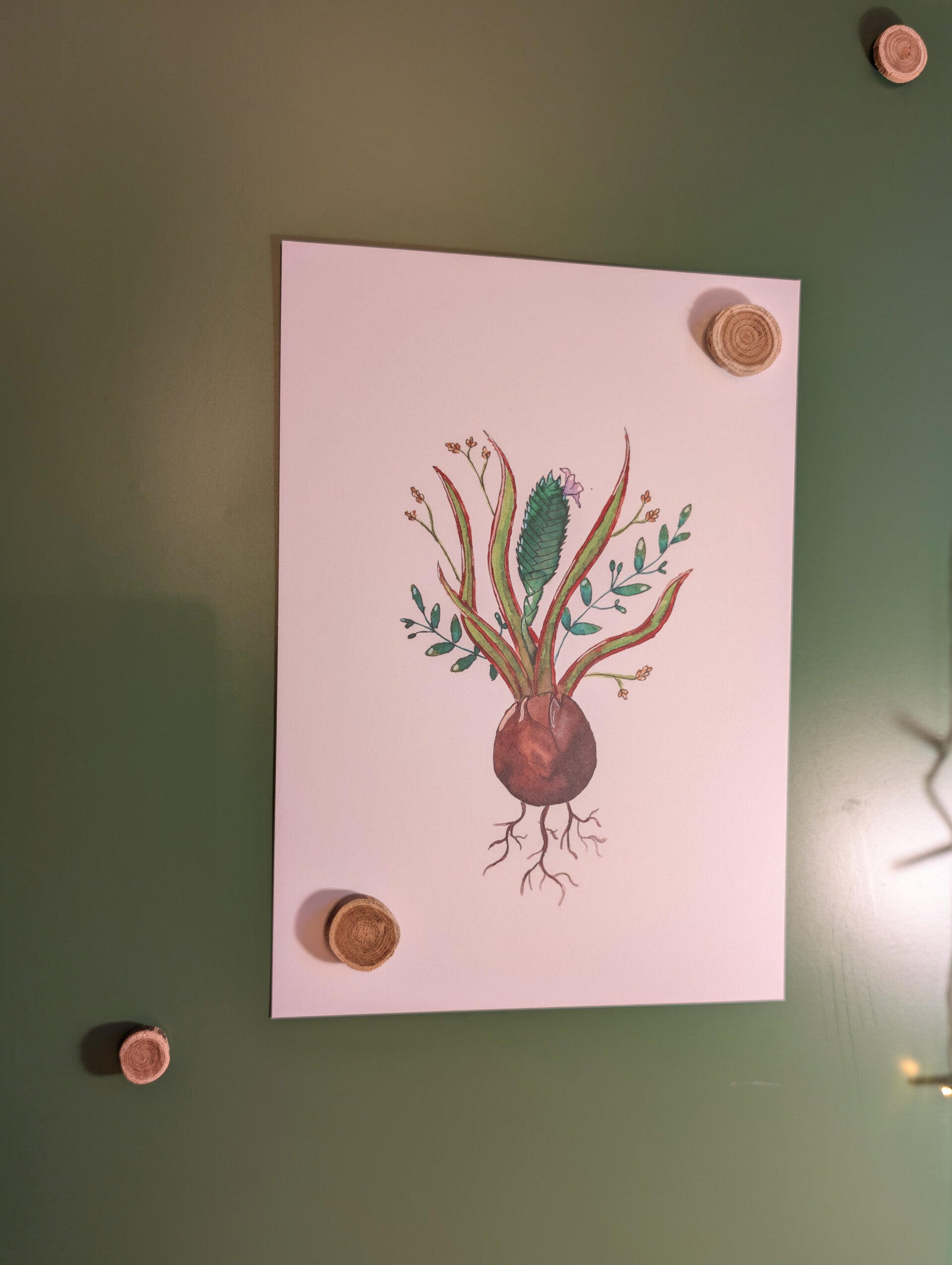 Bloembol 2